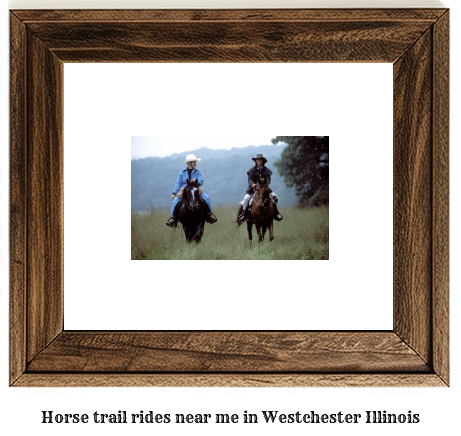 horse trail rides near me in Westchester, Illinois